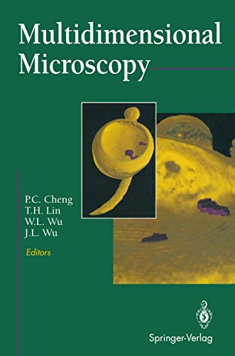 Multidimensional Microscopy view 2