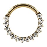 AZARIO LONDON Anillo de segmento con bisagras de titanio de grado G23, diseño frontal de piedras de circonita cúbica, calibre 16, aro para cartílago, aro de daith, joyería de piercing, 7mm Diameter