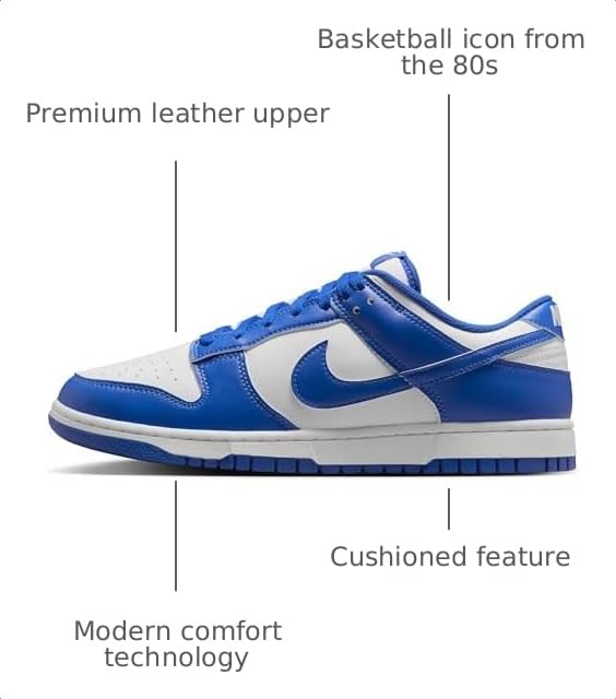 Image of Nike Mens Dunk Low Retro