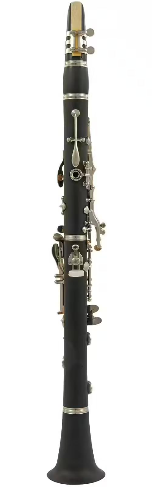 WOODBRASS WCL200C Clarinette en Ut Débutant 17 Clés Système Boehm - Corps ABS Léger, Son Clair & Facile - Instrument Prêt à Jouer avec Étui, Bec & Accessoires Inclus