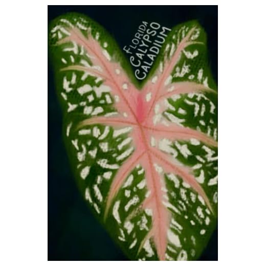 “LEAFING BEAUTY” Collection, Florida Calypso, by Gaia Ziegler, 6x9 Paperback Journal, 150 Lined & Dot Grid Pages.