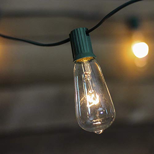 Cadena de luces Edison Northlight 10 unidades 9 pies miniatura 3