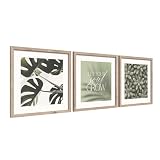 STYLER Zestaw obrazów Soul Grow 3 x 30 x 30 cm (gotowy do zawieszenia), z wysokiej jakości drewnianą ramą, zielono-beżowe, botaniczne obrazy ścienne w stylu boho, monstera, minimalistyczne, nowoczesne