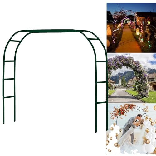 Treillis de jardin pour plantes grimpantes modulable noir