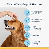 ProDen PlaqueOff Kauknochen für Hunde Zahnpflege, Pack mit 13 Knochen, Dental Sticks für mittelgroße und große Hunde, Dental Knochen für Plaque und frischen Atem, Huhn & Kürbis