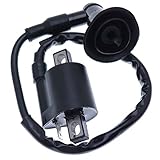 Holdwell New Ignition Coil for Polaris Sportsman 90 2001 2002 2003 2004 2005 2006
