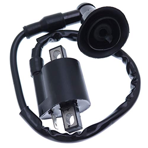 Holdwell New Ignition Coil for Polaris Sportsman 90 2001 2002 2003 2004 2005 2006