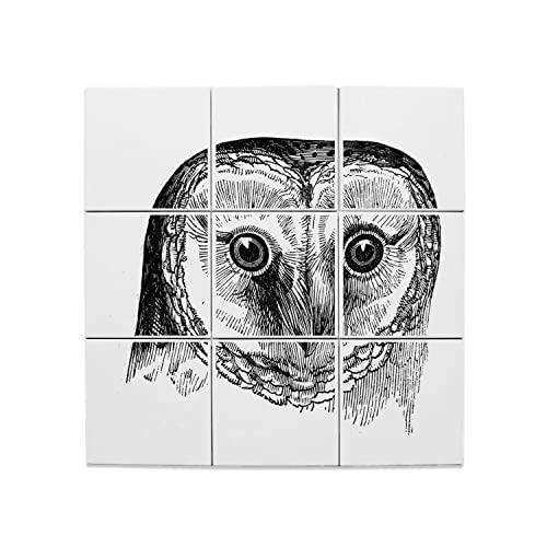 Carreaux céramique décoratif chouette vintage noir et blanc 20x20