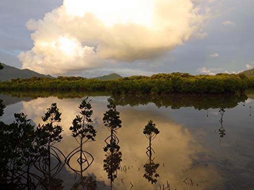 Pentax RICOH WG-60 Rot wasserdichte Kamera Hochauflösende Bilder mit 16 MP Wasserdicht bis 14 m Stoßfest bis Fallhöhe von 1,6 m Unterwassermodus Ring mit 6-LEDs für Makroaufnahmen – Bild 7