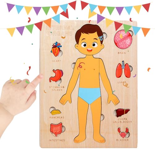Cuerpo Humano para Niños, Puzzle Educativo del Cuerpo Humano de Madera, Viaje Educativo para Niños Y Jóvenes Aprendizaje Escolar