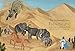 Baby Unicorns (5) (The Magical Unicorn Society)