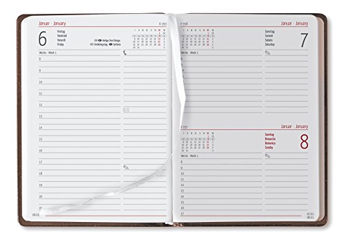 Alpha Edition 174431 Agenda Giornaliera per Anno