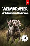  Weimaraner: Der Silberpfeil Der Hunderassen