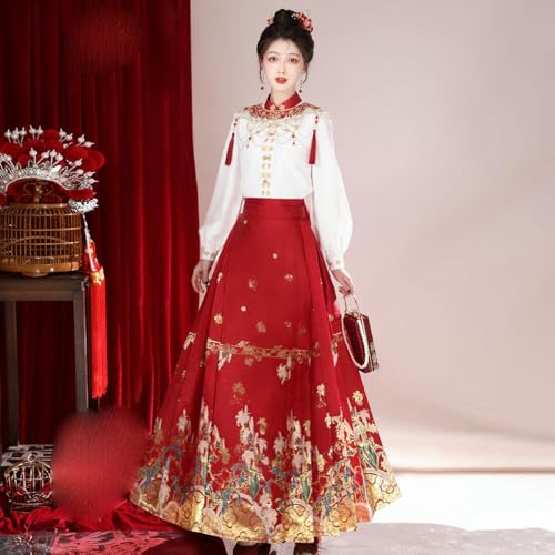Jupe visage de cheval plissée et raffinée de style hanfu