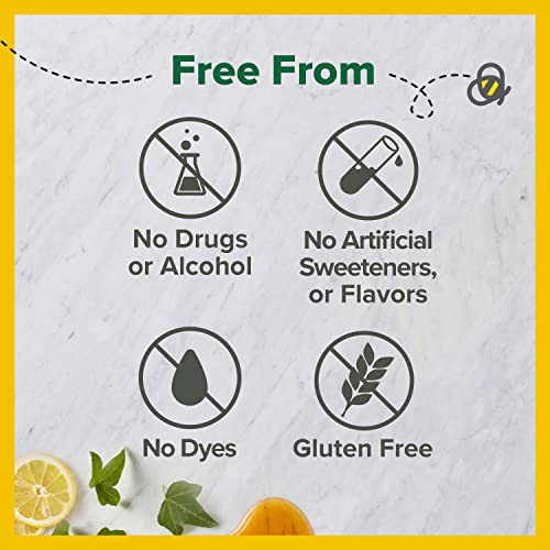 Zarbee's Adult Daytime Cough Syrup + Mucus With Honey, Ivy Leaf, Vitamin C, D & Zinc, Thyme, Drug & Alcohol-Free, Gluten-Free, Ages 12+, Natural Honey Lemon Flavor, 8 Fl.oz #TOP3