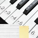MECCANIXITY Stickers clavier pour piano 61/54 Clés, Nombres Sticker de clés Notes pour piano Guide Étiquettes amovibles pour débutants Apprentissage, Noir