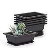 Perfit 10 verpakkingen bonsai training potten met dienblad kunststof bonsai planten teelt pot voor tuin binnenplaats…