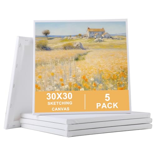 Lienzos para Pintar – Set de 5 Canvas Lienzo con Marco a Clave Paneles de Lienzos para Pintura Acrilica en Blanco 30x30 cm 100% Algodón Adecuado para Acrílico Pintura al Óleo para Principiantes