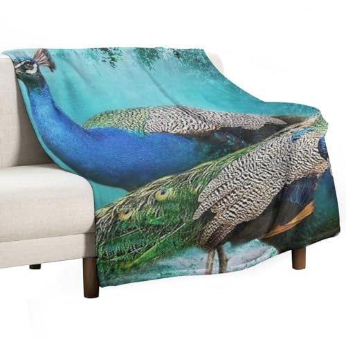 ѕz 唻 E uPbg 150x200cm 60x80in  tl  􂦂  ӂӂ _炩ȔG zM RpNgł ӂy yĒg R hLH | ~ G 