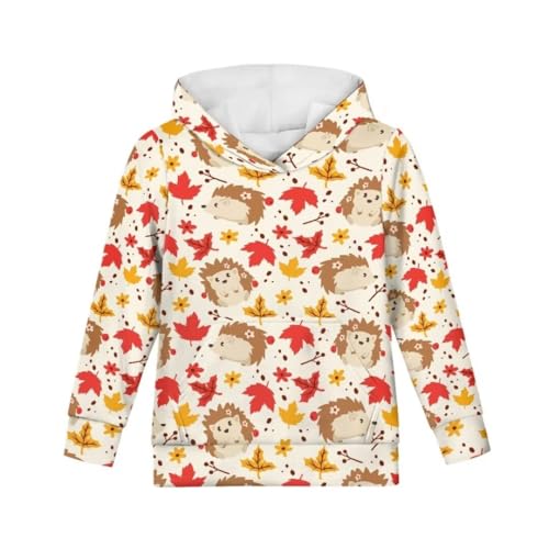 Pinupub Kids Hooded Sweatshirt Boys Girls Cute Holiday Winter Long Sleeve Casual Pullover Hoodies