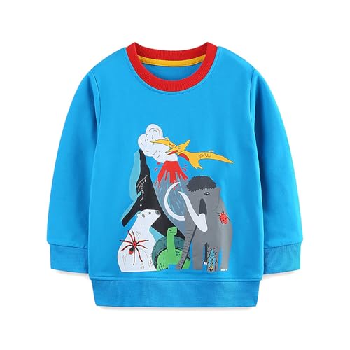 Boys Sweatshirts Casual Sweatshirts Cotton Sweatshirts Long Sleeve T-shirts Crew Neck Cartoon Tops for Boys-351