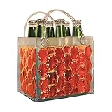 Chill It 6 Red - Freezable Chill It 6-Pack Bag