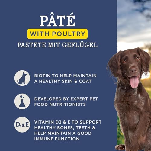 by Amazon Hundefutter, nass, Pastete mit Geflügel, 300 g, 10 Stück