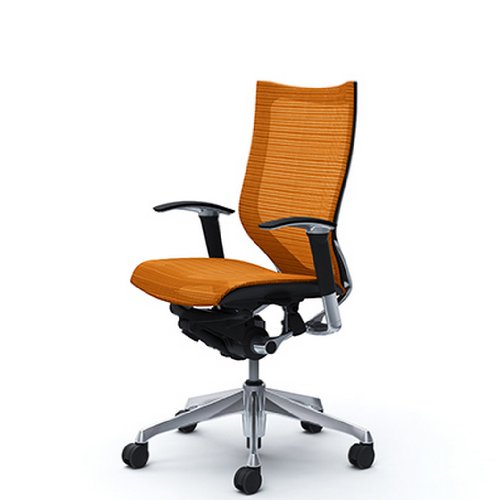 バロン (Baron) チェア 【ハイバック】 ポリッシュフレーム 可動肘 座メッシュ オレンジ CP85AR FDH8