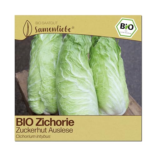 Samenliebe BIO Zichorien Samen | Zuckerhut Auslese - winterhart & groß - samenfestes BIO Saatgut
