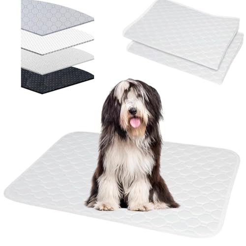 Lifetips rAfbhER[iBearded Colliej 􂦂ybgV[c ybgV[c 􂦂 2Zbg ~ V[cCh V[g L ۂƐ􂦂 ~}bg ld\ Rh~  ~ ^ ^  p