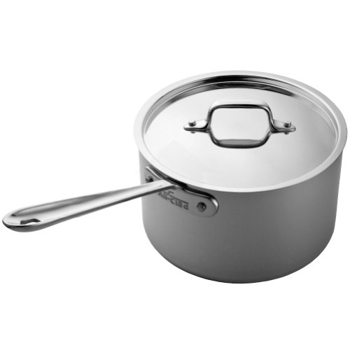 All-Clad Stainless Steel Large Roaster