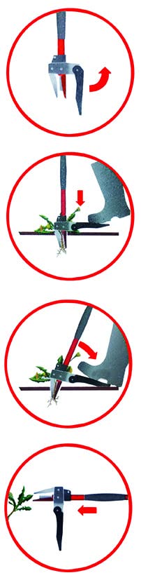 Griffe SG-ES10 INOX 2 Pointes - Griffe de jardinage en acier inoxydable - 3