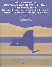 Stratigraphy of the Devonian and Upper Silurian in the Vicinity of the Retsof, Sterling, and Hampton Corners Mines in Livi...