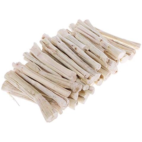 huiouer 500g Sweet Bamboo Stick Branch Hamsters Chinchillas Rabbit Parrot Rat Guinea Pig Snacks Cleaning Teeth Treat Molar Chew Toy Cover