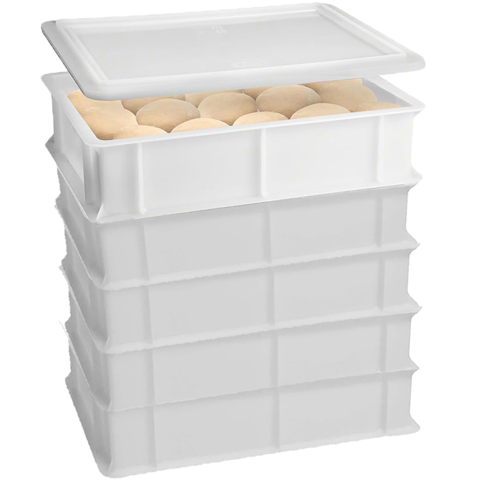 Set 5 Cassetta con Coperchio impasti palline Pizza Pane panette 30x40x13 per alimenti certificata certificata per alimenti litri 12 professionale impilabile sovrapponibile