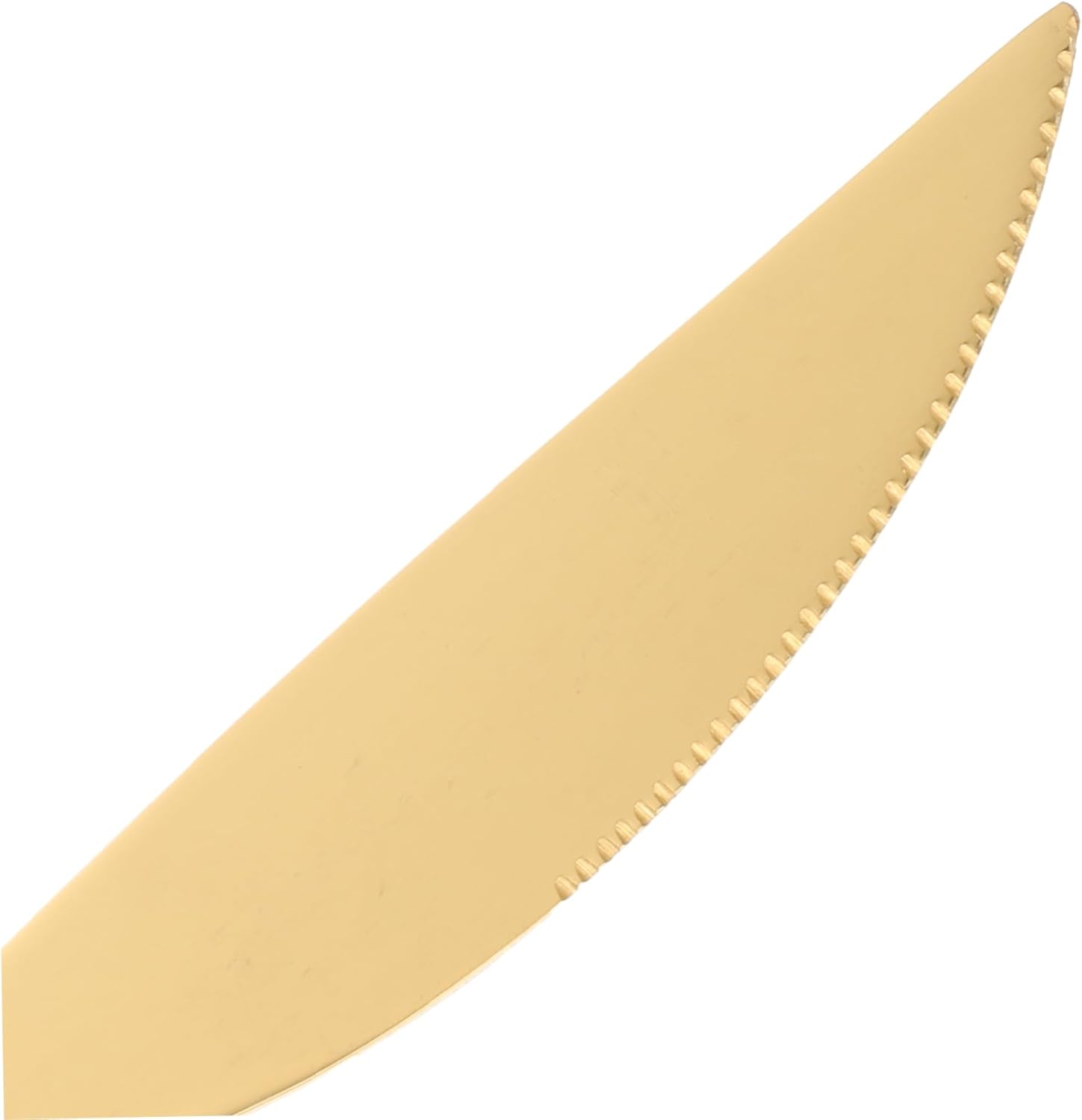 6pcs Stainless Steel Steak Dinner Knives for Family Restaurants
