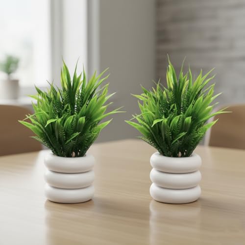 PARTHAK Artificial Plant with Pot, Small Indoor Potted Houseplant...