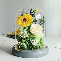 ￥41800⇨￥35000 プリザーブドフラワー　ひまわり Amazon | ひまわり プリザーブドフラワー 向日葵 プレゼント 敬老の日