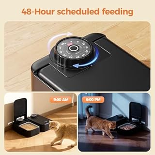 Dispenser Crocchette Gatto Umido Automatico: Distributore Cibo Gatti con Ciotola in Acciaio Inossidabile - Dosatore Crocchette per Gatti con Timer di 48 Ore - Adatto sia per Alimenti Secchi che Umidi