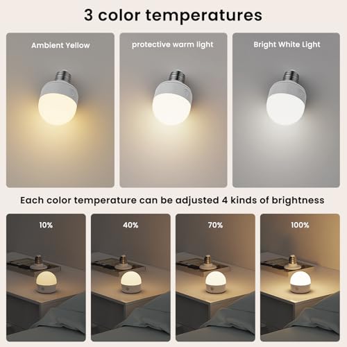 Ampoules rechargeables avec télécommande minuteur et 3 températures de couleur E27