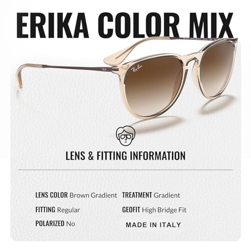 Ray-Ban RB4171 ERIKA COLOR MIX Phantos Shaped Sunglasses for Men & Women with Official RAYBAN Eyewear Kit4