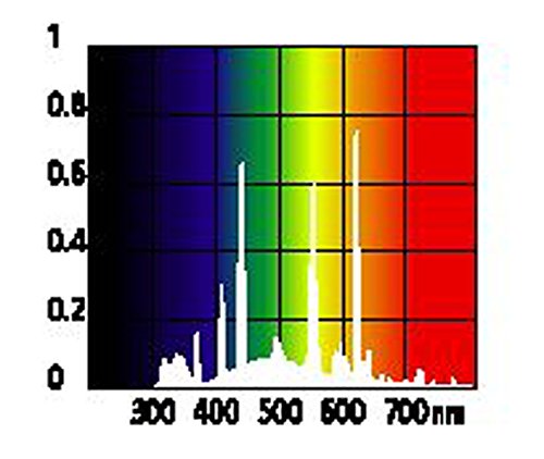 Ardacia FB-15 Bird Lamp, 15 Watt