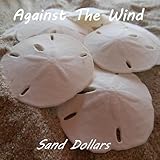 Against The Wind
