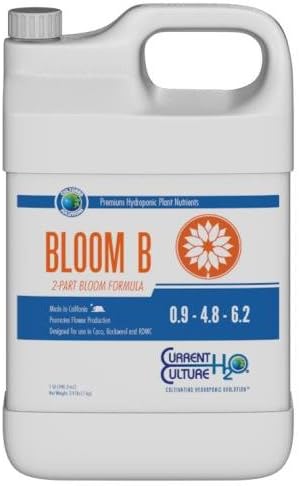 Bloom B Quart (12/Cs)