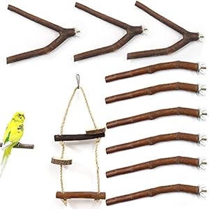 Betinyar 10 stuks natuurlijke houten vogelbaars standaard set, papegaai standaard baars platform, huisdier vogel…