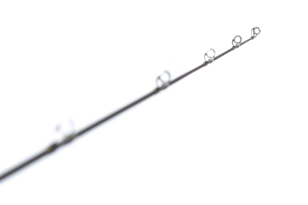 Amazon | AbuGarcia (アブガルシア) ソルティーステージPRM フェ