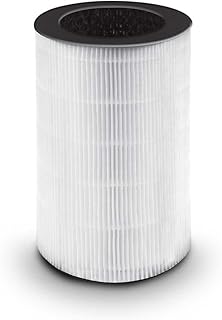 Homedics TotalClean 3-in-1 HEPA-Type Air Purifier Filter Replacement, Works with Homedics AP-T30 and AP-T30WT Air Purifiers, Captures Microscopic Airborne Particles