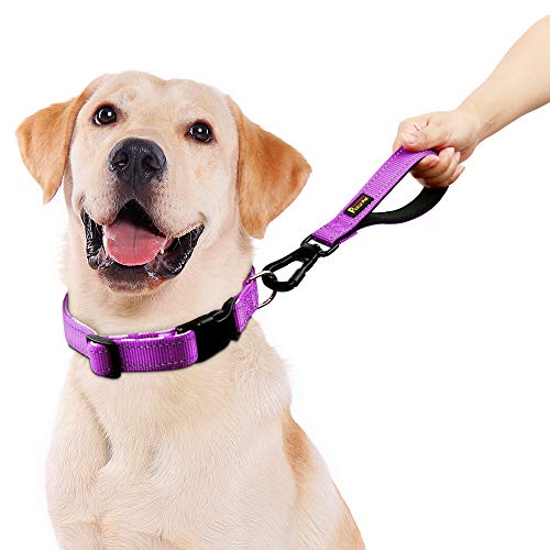 Plutus Pet 10” Short Dog Leash, Reflective Nylon Padded Handle, Strong Traffic Leash With Carabiner Clip, Perfect For Large Or Medium Dogs（10”，Purple #TOP1