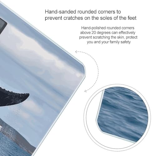Báscula digital de baño Whale Tail con pantalla LCD miniatura 4