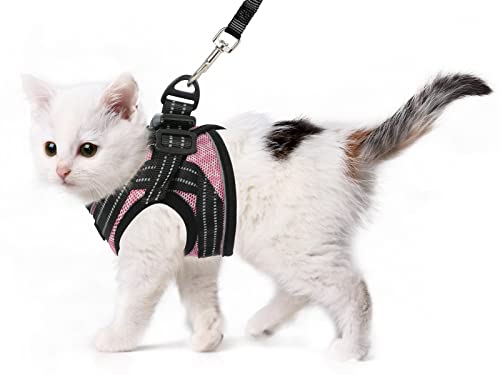 CatRomance: Stylish Cat Harness and Leash Set for the Purrfect Walk